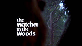 The Watcher in the Woods, screenshot #1